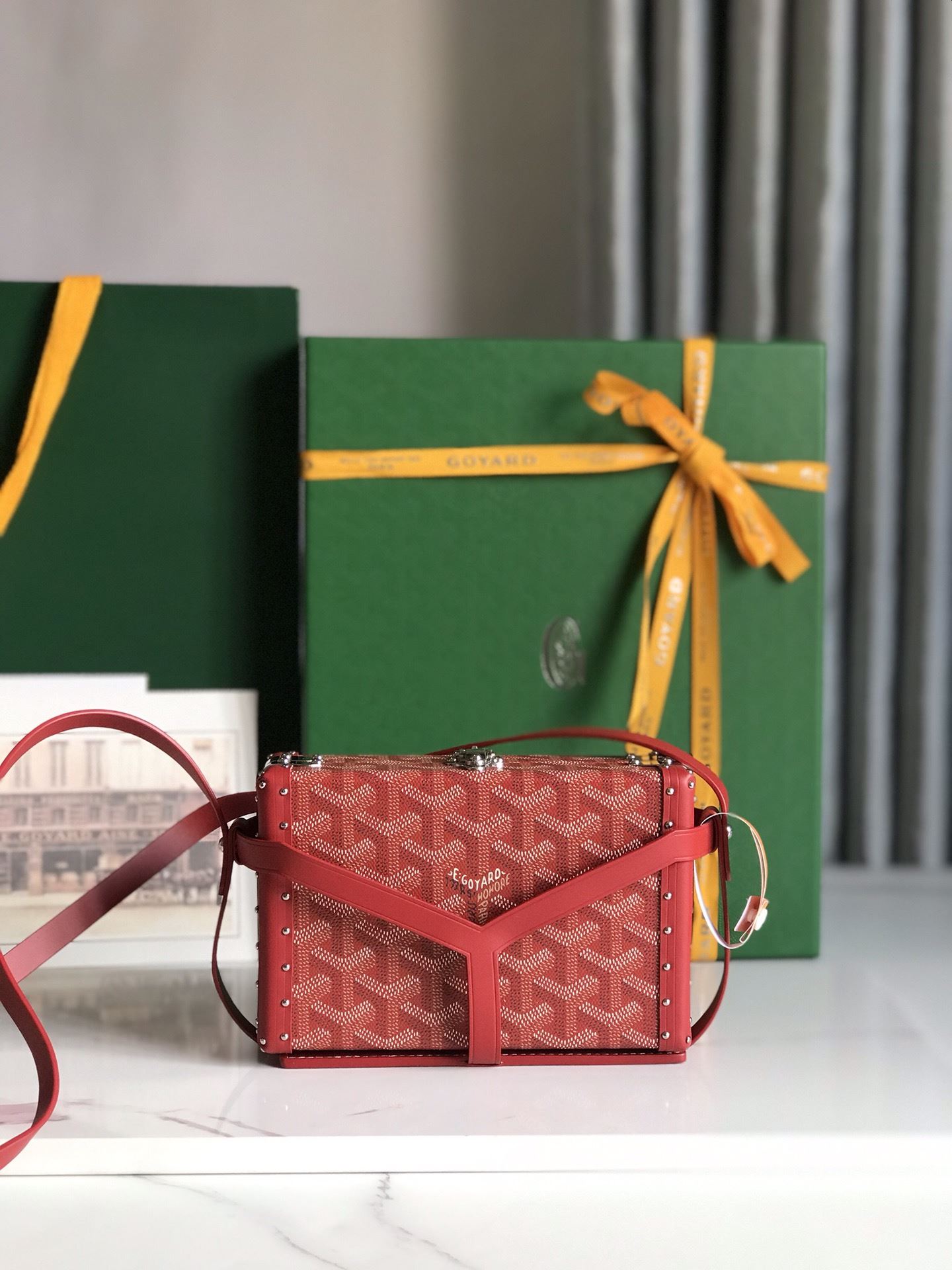 Goyard Box Bags